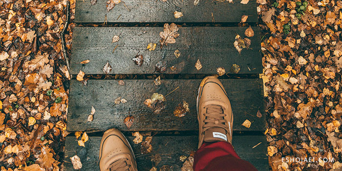 قدم زدن در پاییز